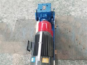 保溫齒輪泵-鑄鐵保溫齒輪泵